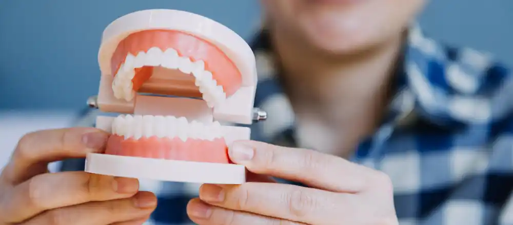 Man holding model of mouth