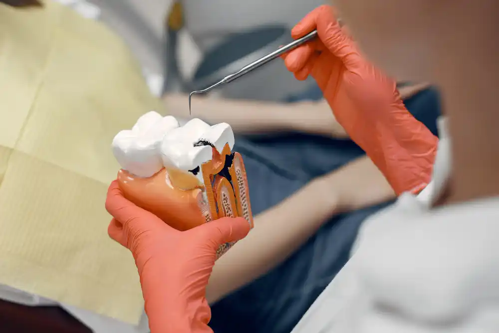 Large tooth model